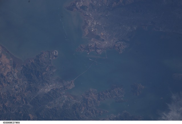 Browse image