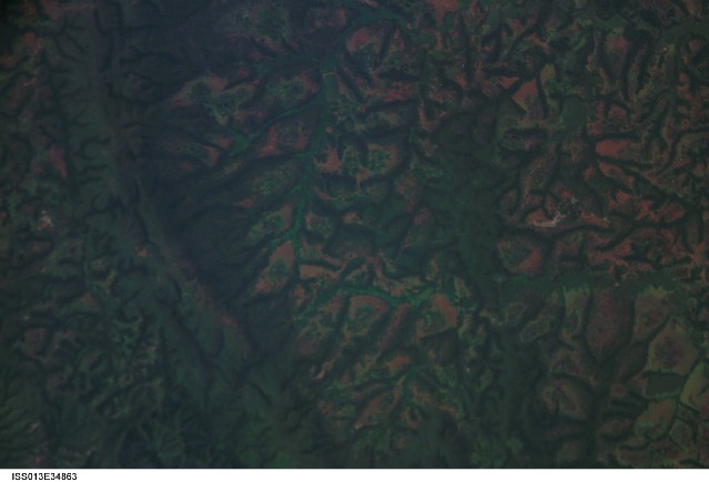 Browse image