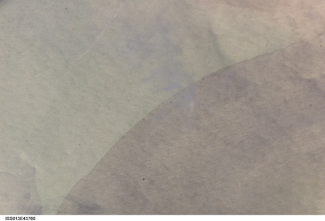 Browse image