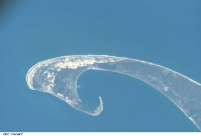 Browse image