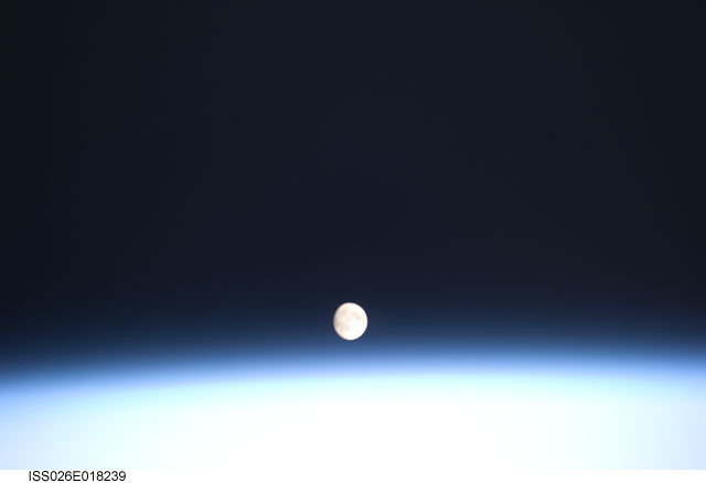 Browse image