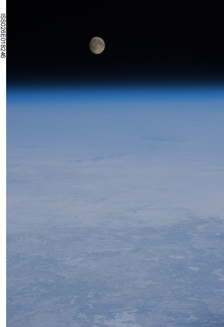 Browse image