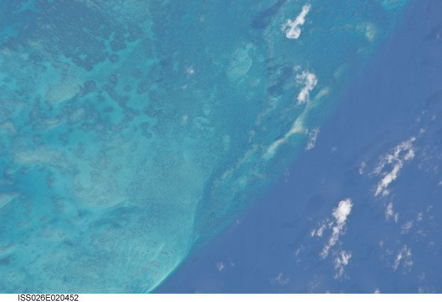 Browse image