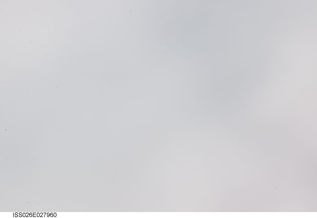 Browse image