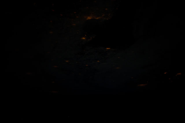 Browse image