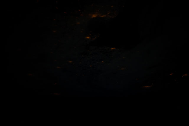 Browse image