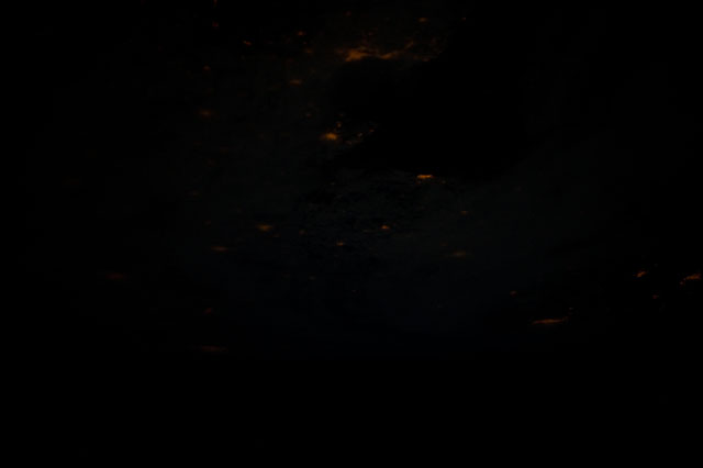 Browse image