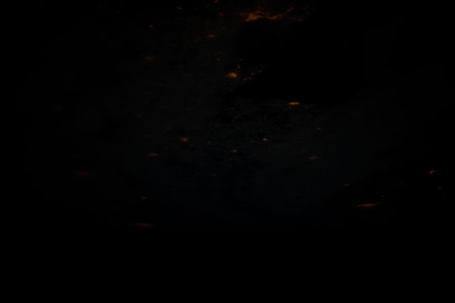 Browse image
