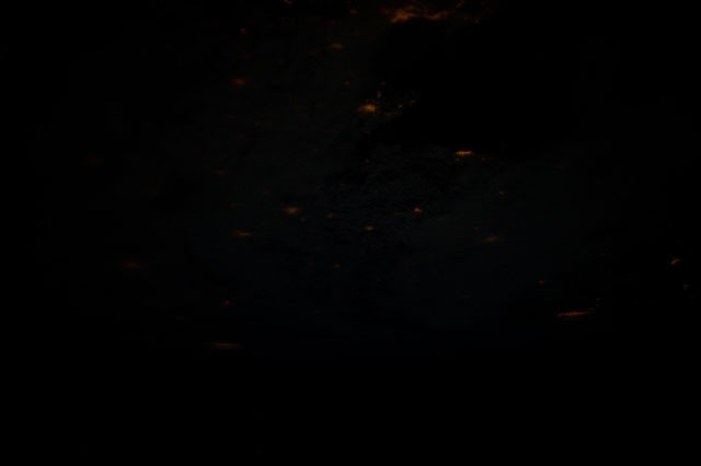 Browse image