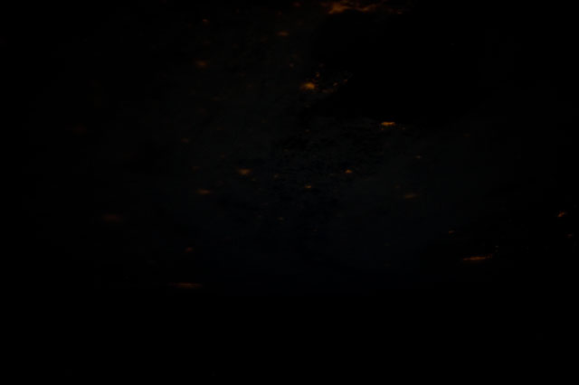 Browse image