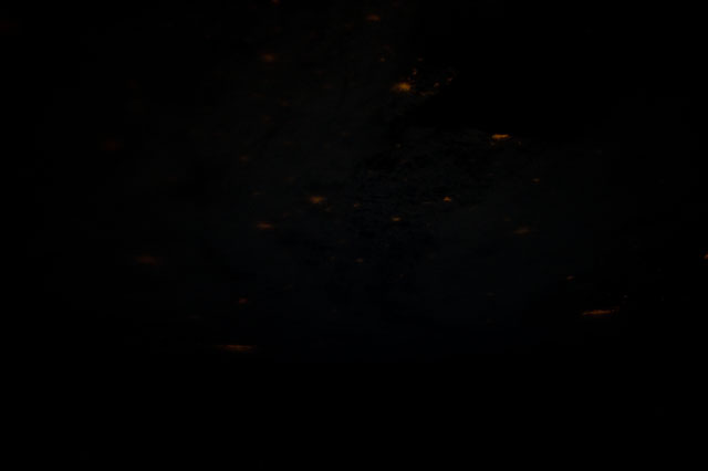 Browse image