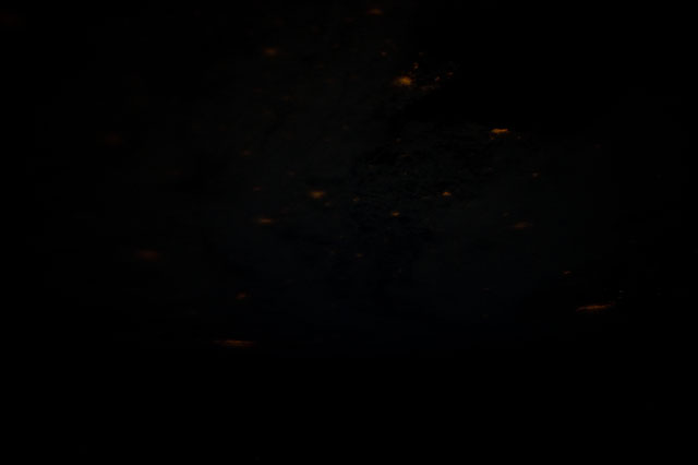 Browse image