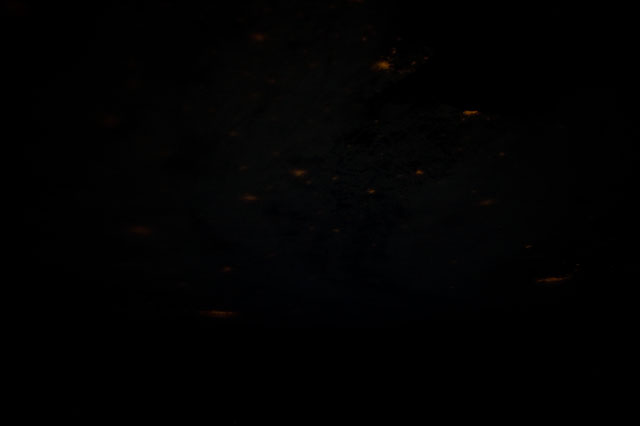 Browse image