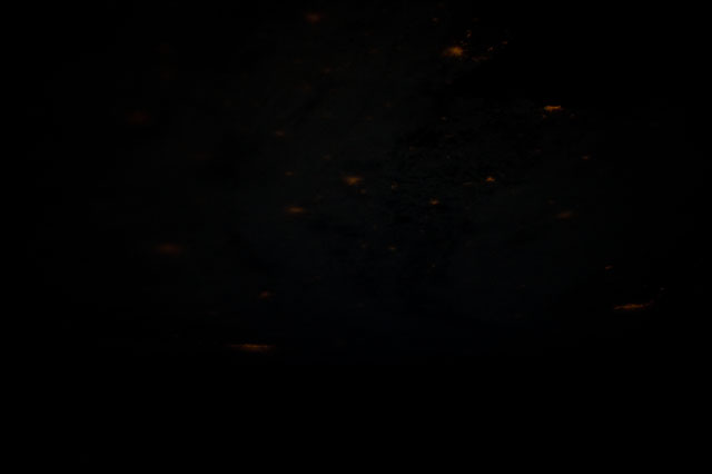 Browse image
