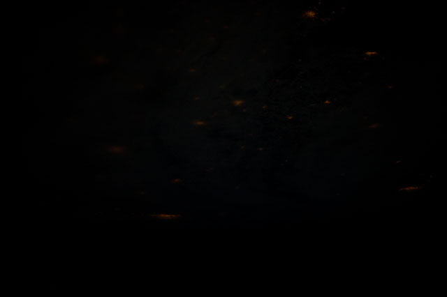 Browse image