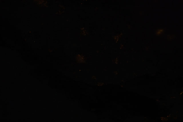 Browse image