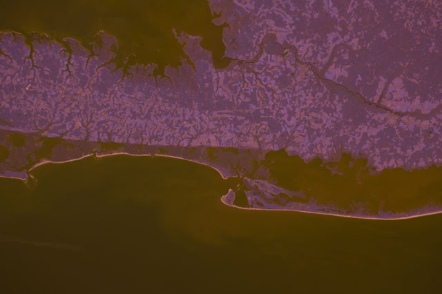 Browse image