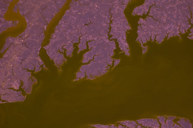 Browse image