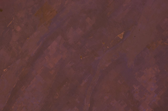 Browse image
