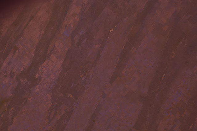 Browse image
