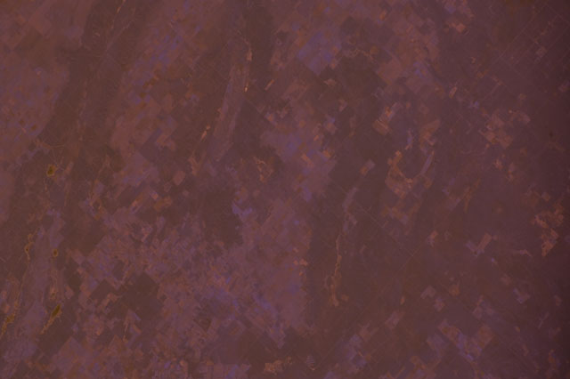 Browse image