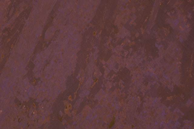 Browse image