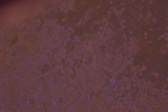 Browse image