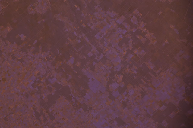 Browse image