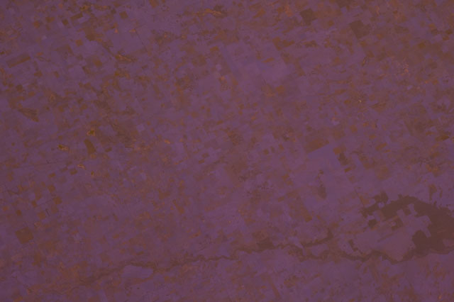 Browse image