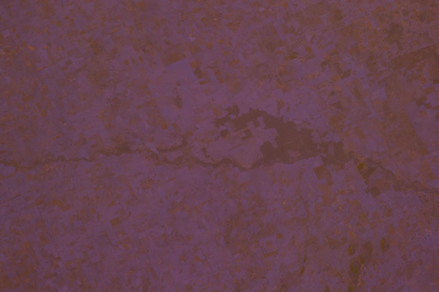 Browse image