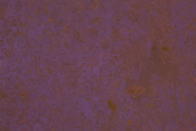 Browse image