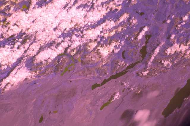 Browse image