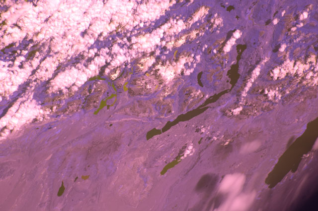 Browse image