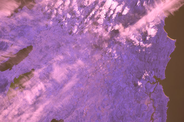 Browse image