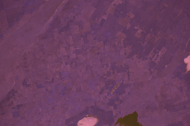 Browse image
