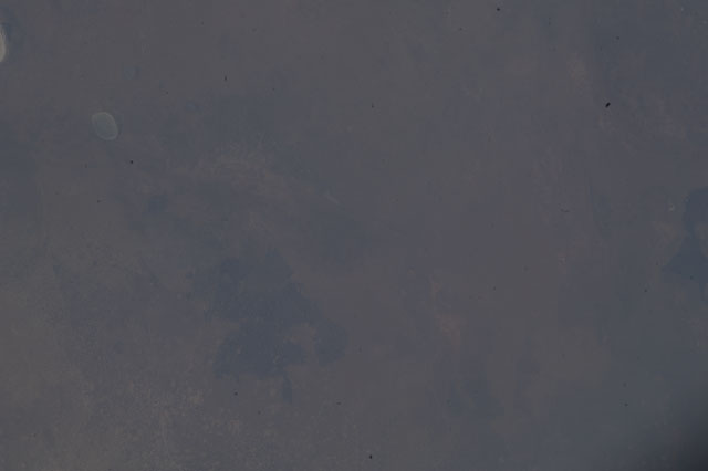 Browse image
