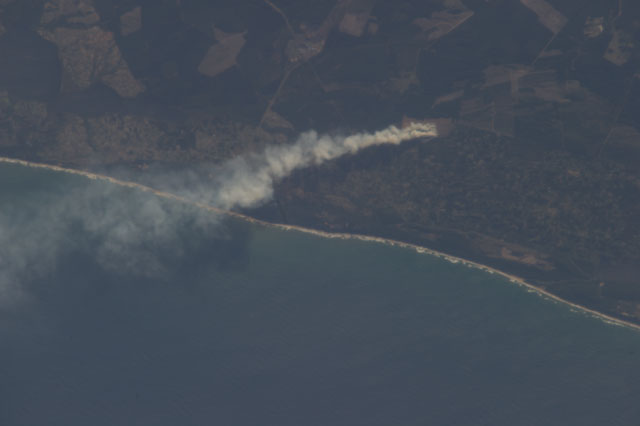 Browse image