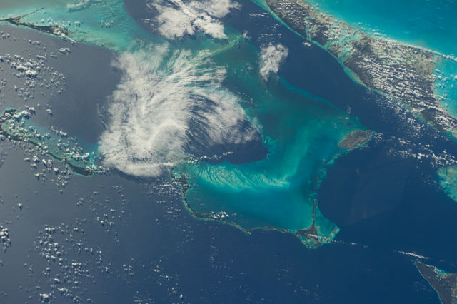 Browse image
