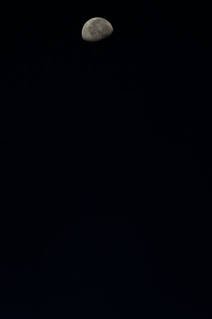 Browse image
