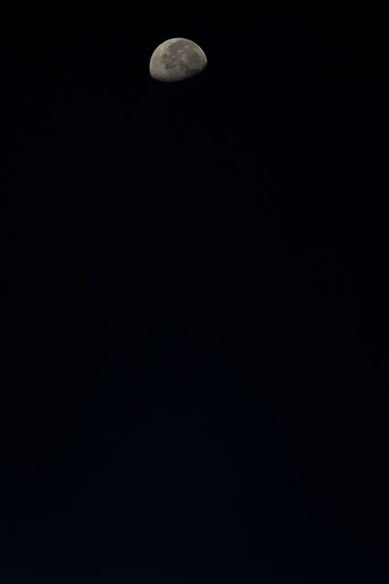 Browse image