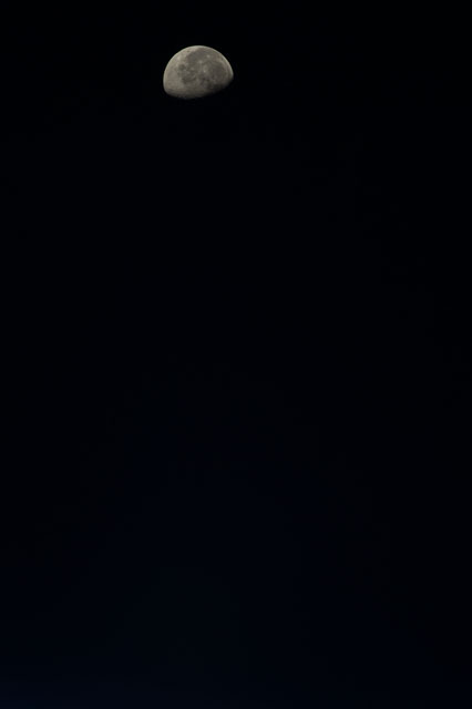 Browse image
