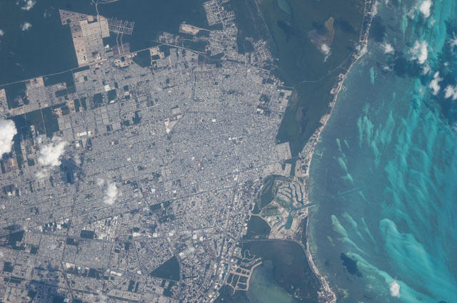 Browse image