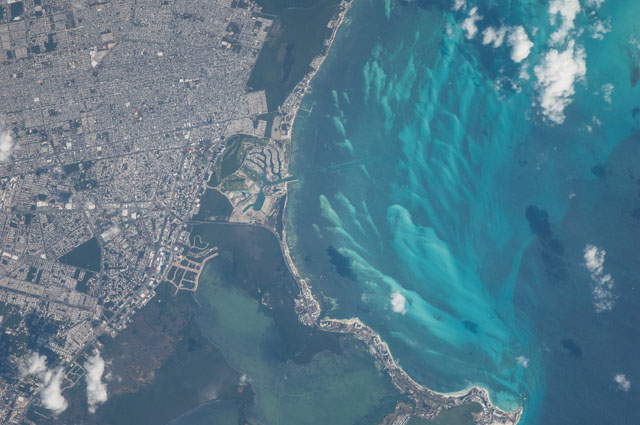 Browse image