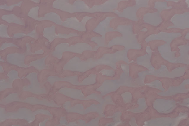 Browse image