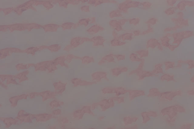 Browse image