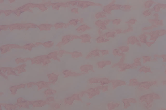 Browse image