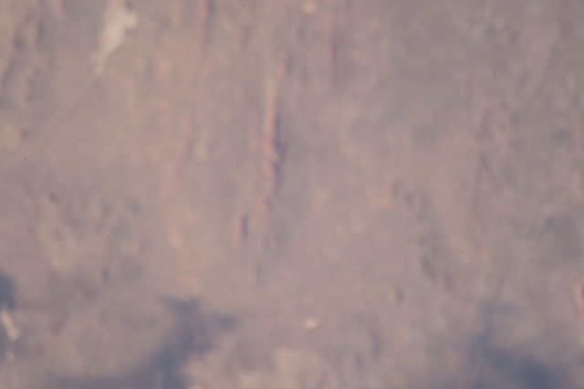 Browse image