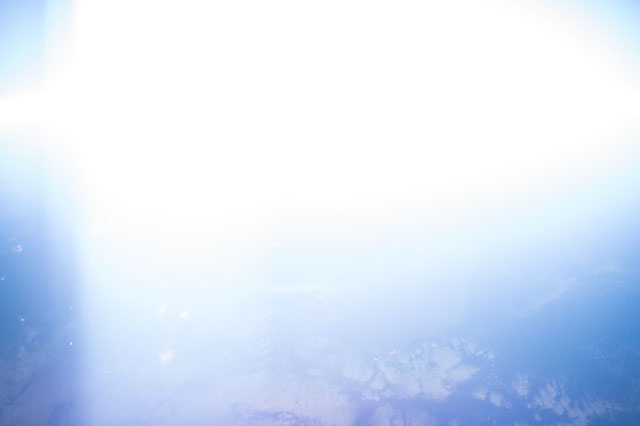 Browse image