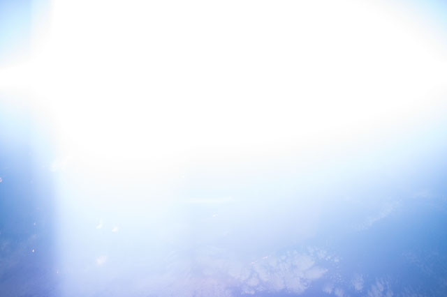 Browse image