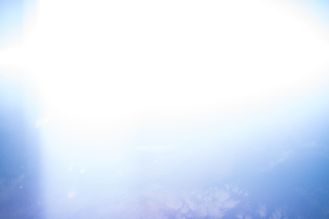 Browse image